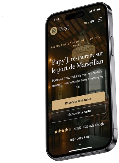 Site PapyJ affiché sur téléphone